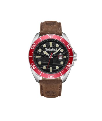 MONTRE TIMBERLAND CARRIGAN TDWGB2230602 pour bénéficier 