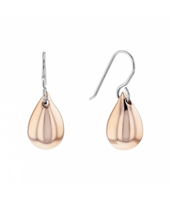 BOUCLES D'OREILLES CALVIN KLEIN SCULPTURAL la colonne vertébrale