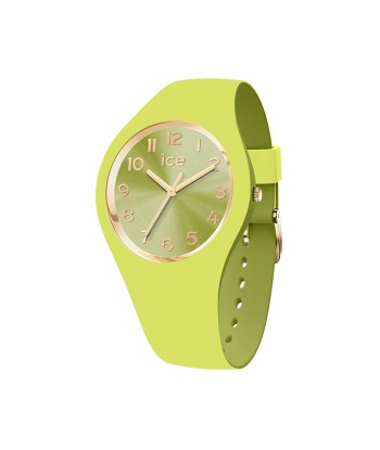 MONTRE ICE DUO CHIC de la marque