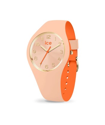 MONTRE ICE DUO CHIC SMALL Venez découvrir notre 