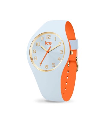 MONTRE ICE DUO CHIC SMALL Venez découvrir notre 